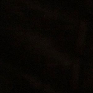 Meet your Posher, Dylan